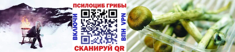 Галлюциногенные грибы ЛСД  Дыгулыбгей 